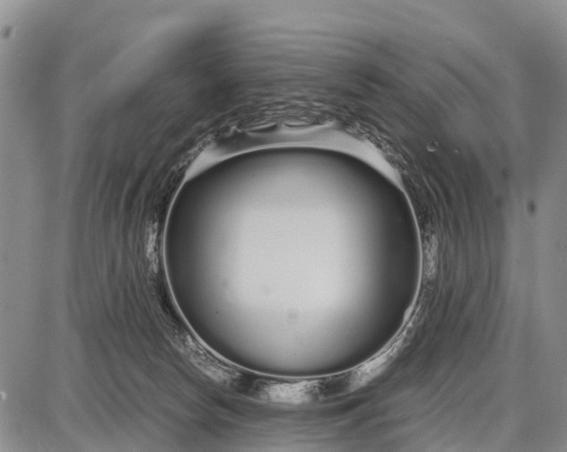 X0000087690178200705181804