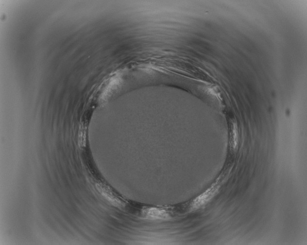 X0000087690180200705181804