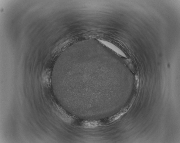 X0000087690181200705181804