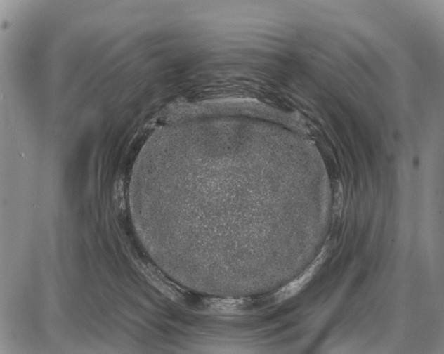 X0000087690182200705181804