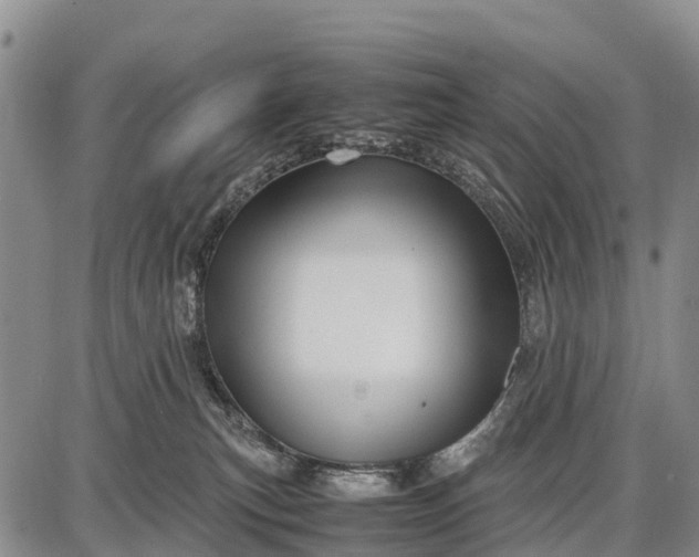 X0000087690183200705181804