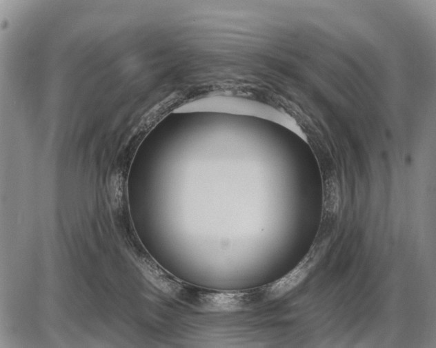 X0000087690184200705181804