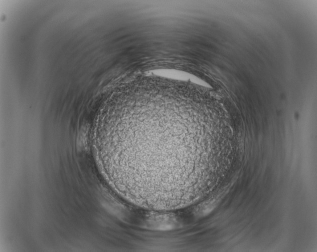 X0000087690185200705181804