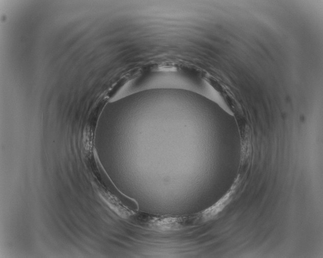 X0000087690186200705181804