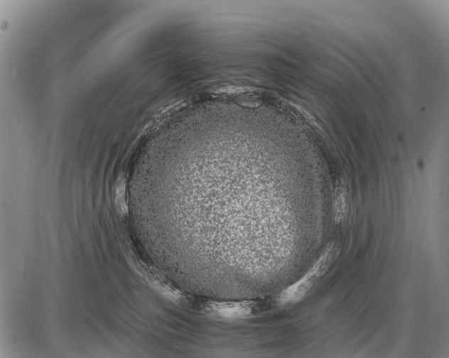 X0000087690187200705181804