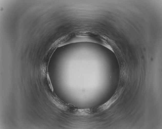 X0000087690188200705181804