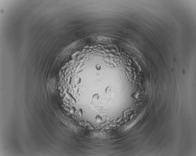 X0000087690189200705181804