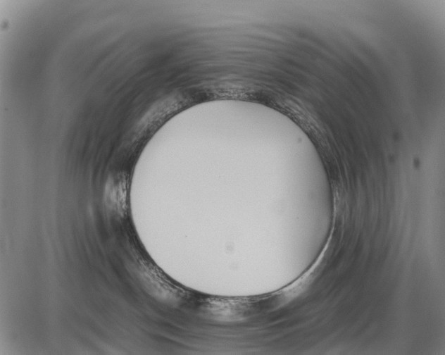 X0000087690190200705181804