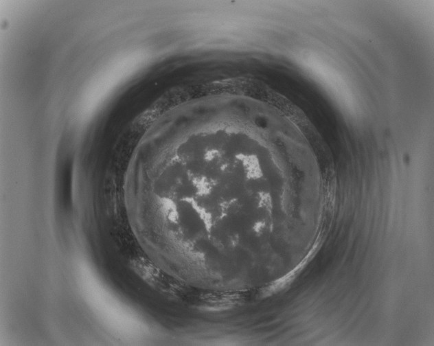 X0000087690191200705181804