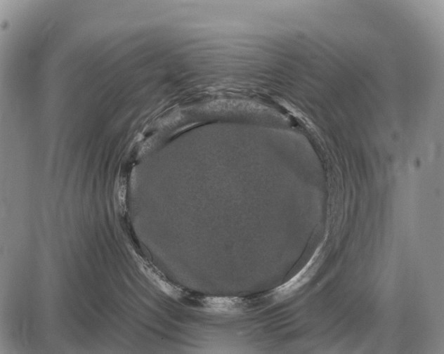 X0000087690192200705181804