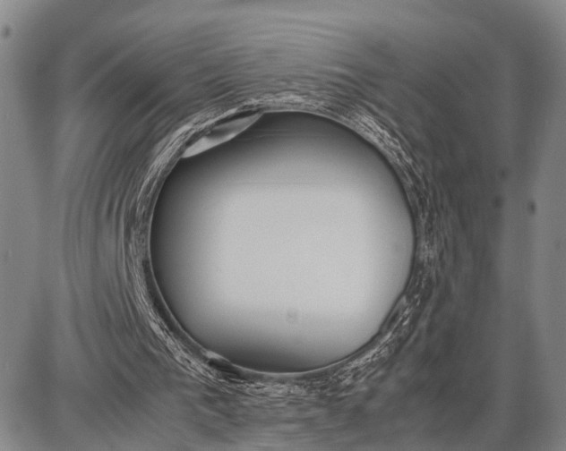 X0000087690193200705181803