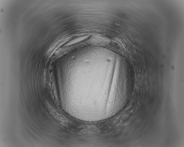 X0000087690194200705181803