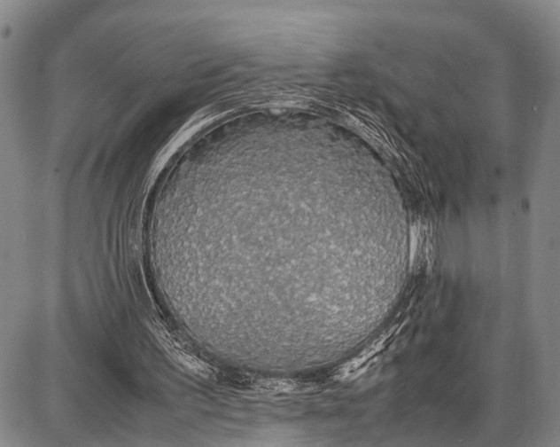 X0000087690195200705181803