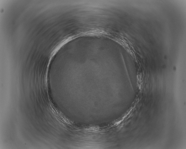 X0000087690196200705181803