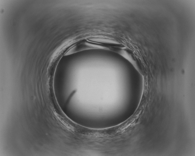 X0000087690197200705181803