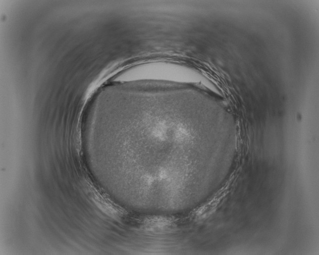 X0000087690198200705181803