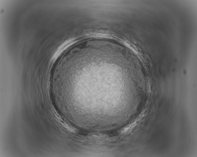 X0000087690199200705181803