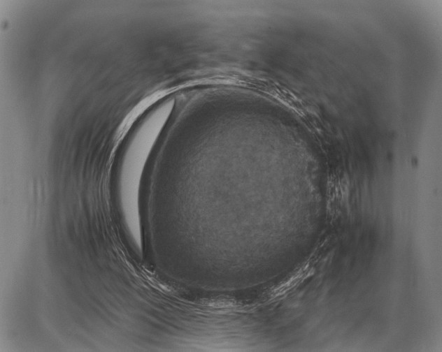 X0000087690200200705181803