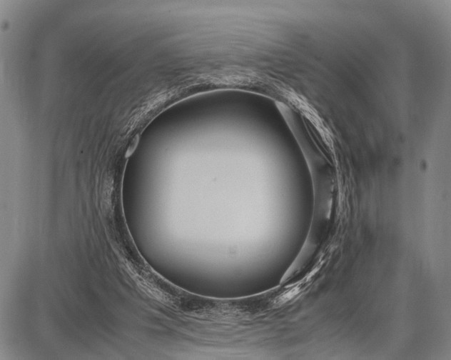 X0000087690201200705181803