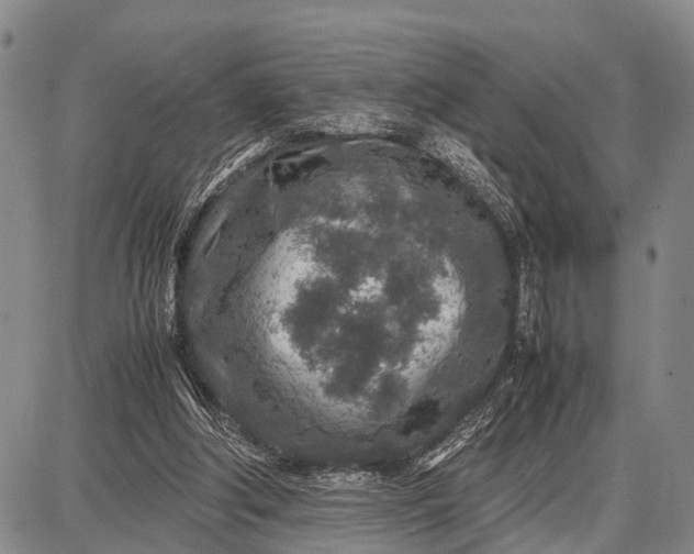 X0000087690202200705181803