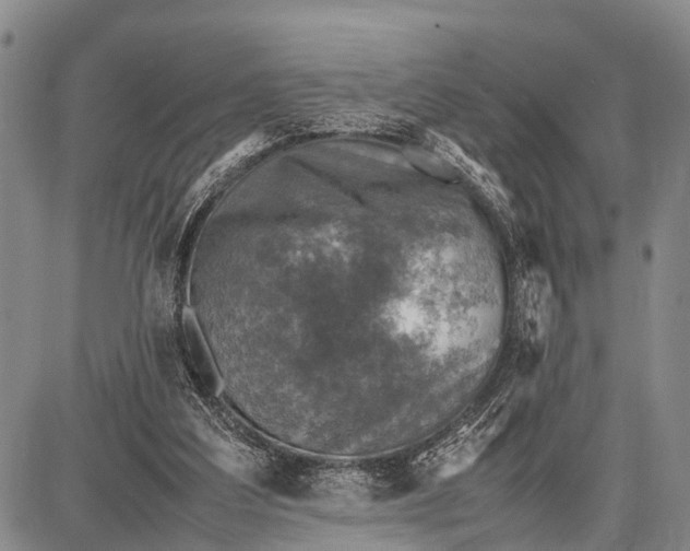 X0000087690203200705181803