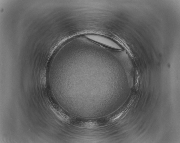 X0000087690204200705181803