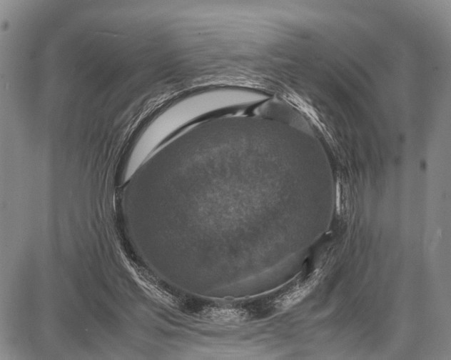 X0000087690205200705181803