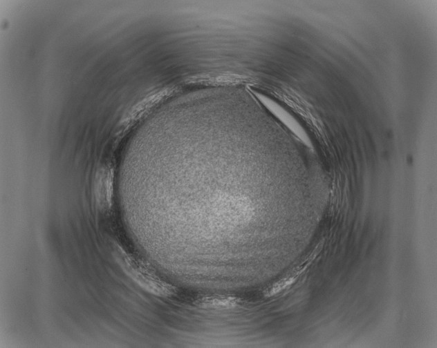 X0000087690206200705181803