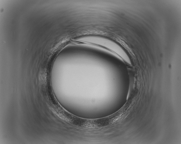 X0000087690207200705181803