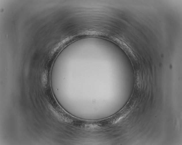 X0000087690208200705181803