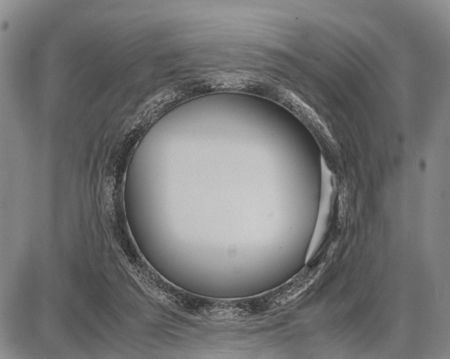 X0000087690209200705181803