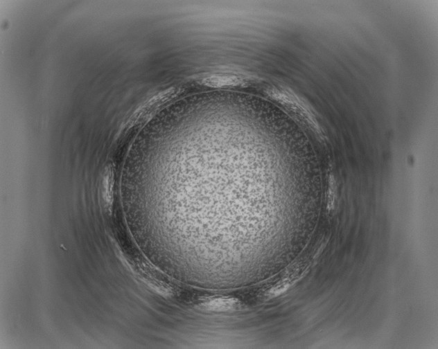 X0000087690210200705181803