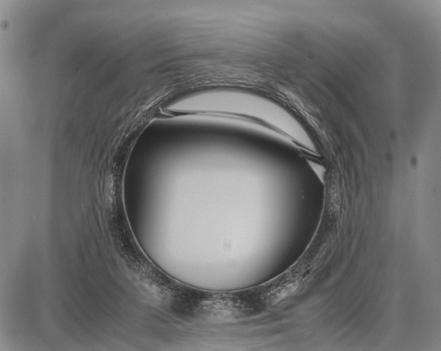 X0000087690211200705181803