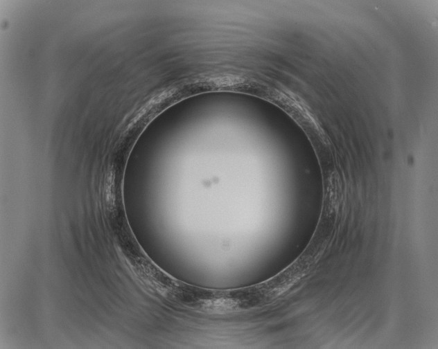 X0000087690212200705181803