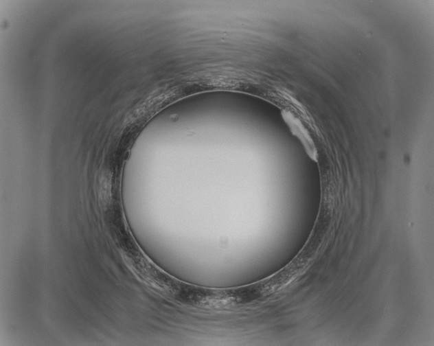 X0000087690213200705181803