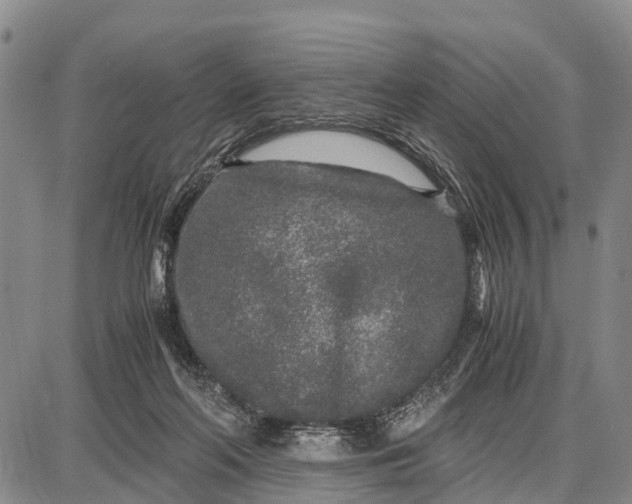 X0000087690214200705181803