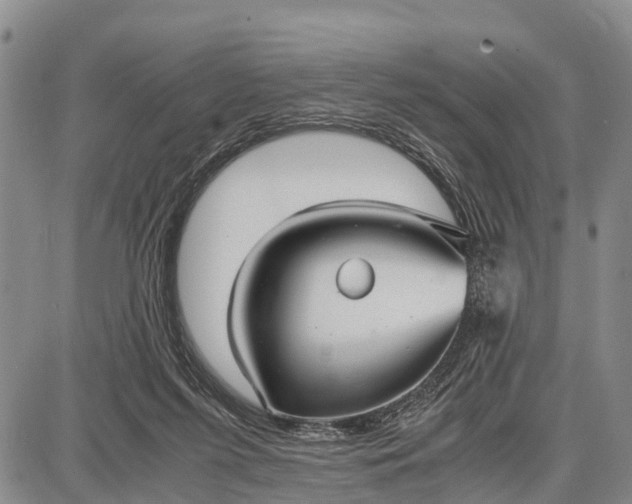 X0000087690215200705181803