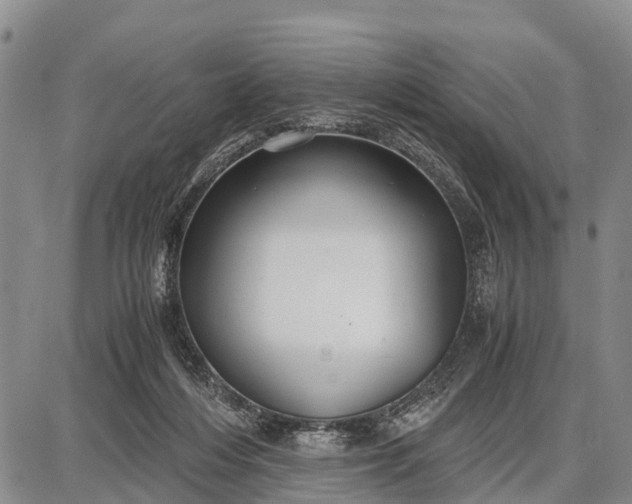 X0000087690216200705181803