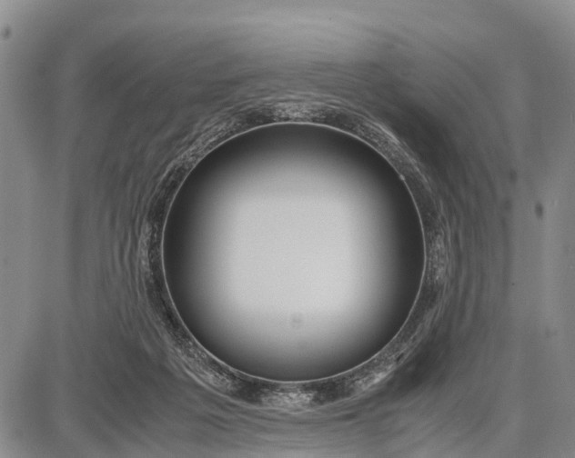 X0000087690217200705181803