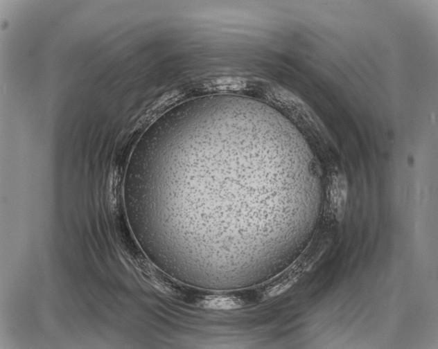 X0000087690218200705181803