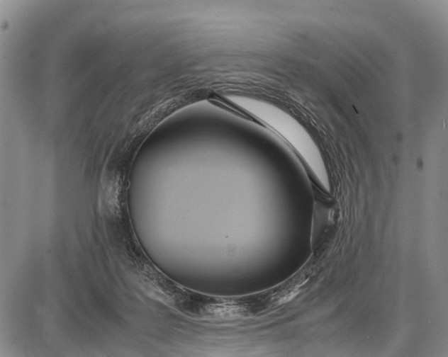 X0000087690219200705181803