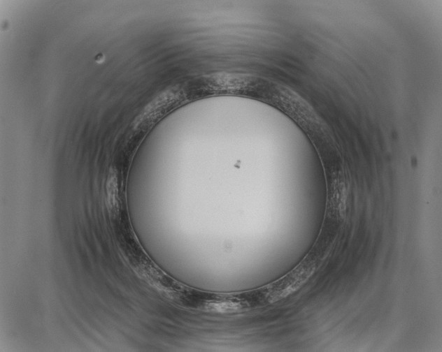 X0000087690220200705181803