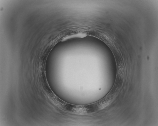 X0000087690221200705181803