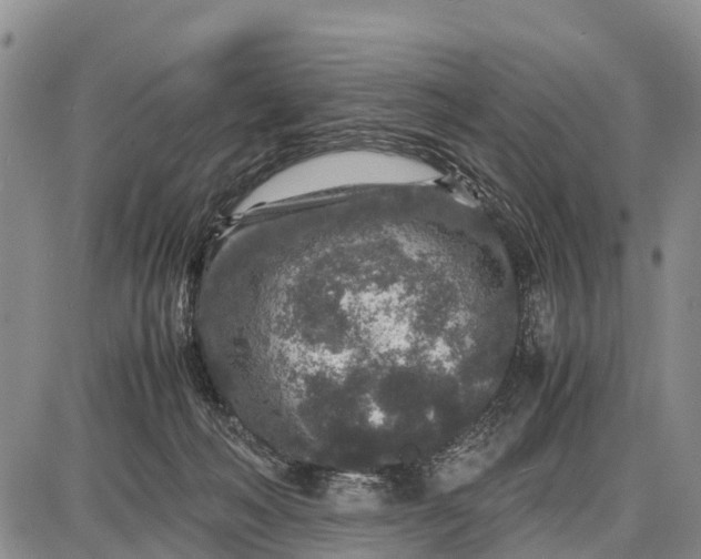 X0000087690222200705181803