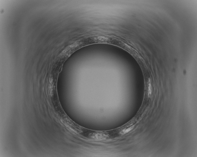 X0000087690223200705181803