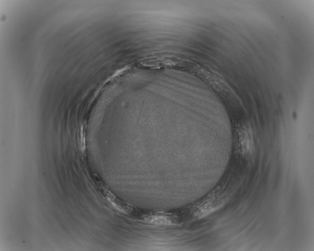 X0000087690224200705181803