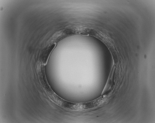 X0000087690225200705181803