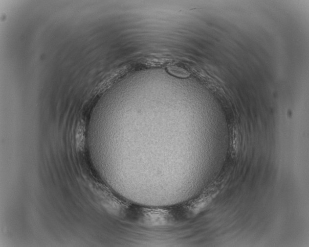 X0000087690226200705181802