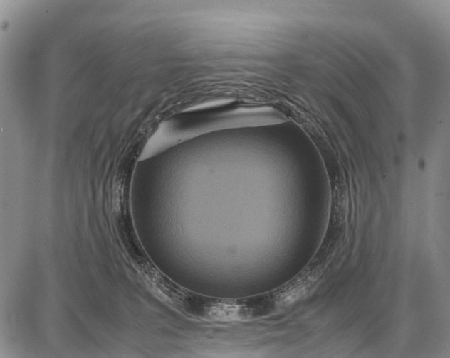 X0000087690227200705181802