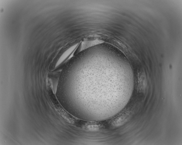 X0000087690228200705181802